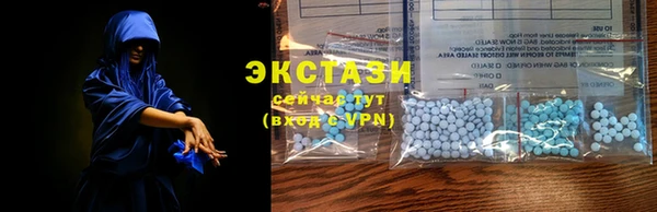 МДПВ Рославль